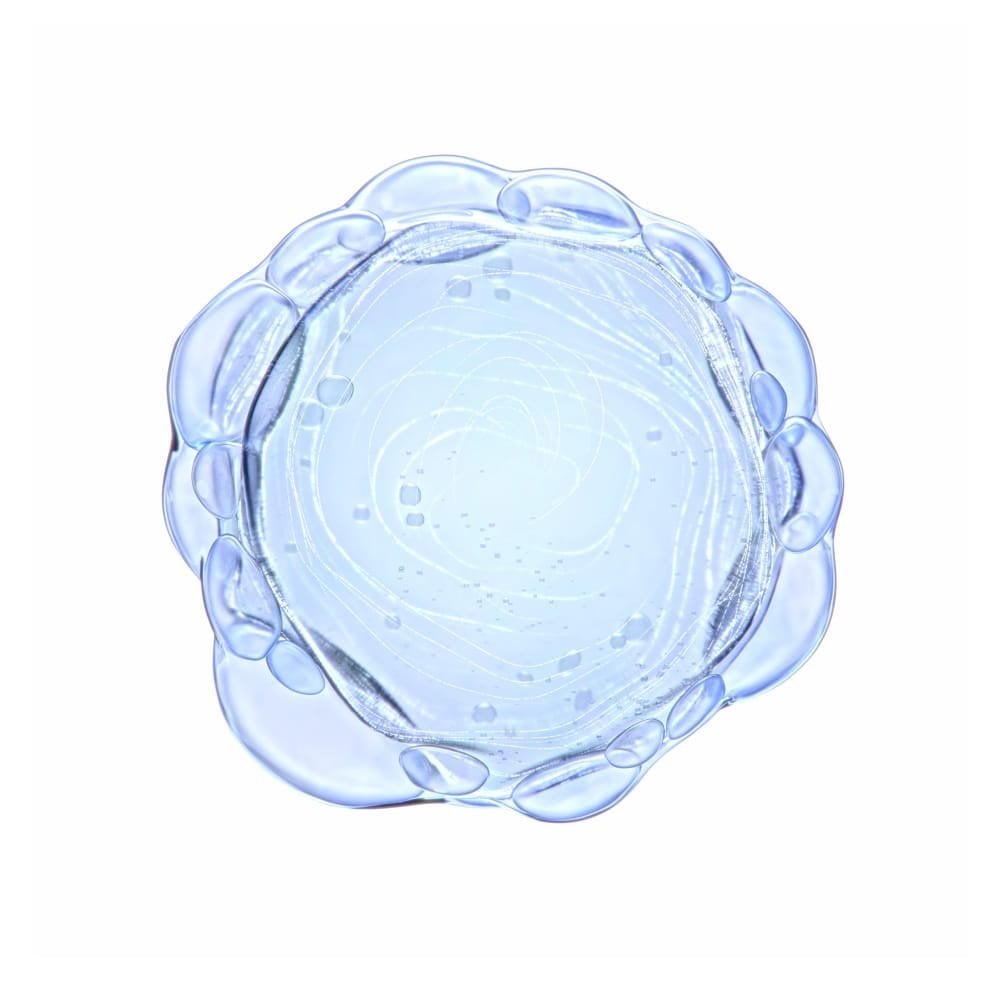 Salicylic acid ingredient