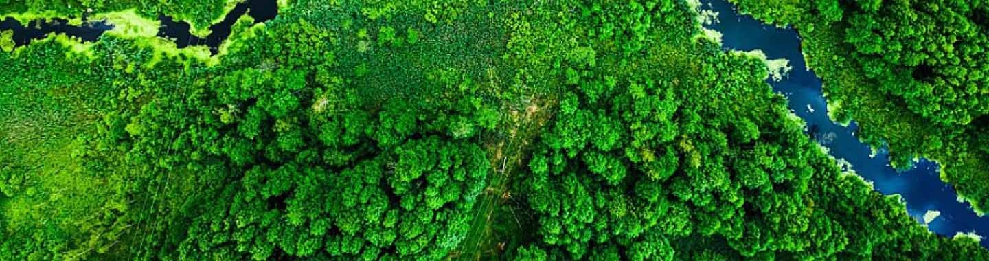 Caring your the planet is also caring for your skin