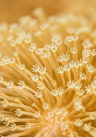 /-/media/project/loreal/brand-sites/lrp/emea/be/simple-page/landing-page/marine-life/anthelios-marine-life-landing-page/larocheposay-anthelios-marine-life-landing-page-salt-water.jpg?sc_lang=fr-be