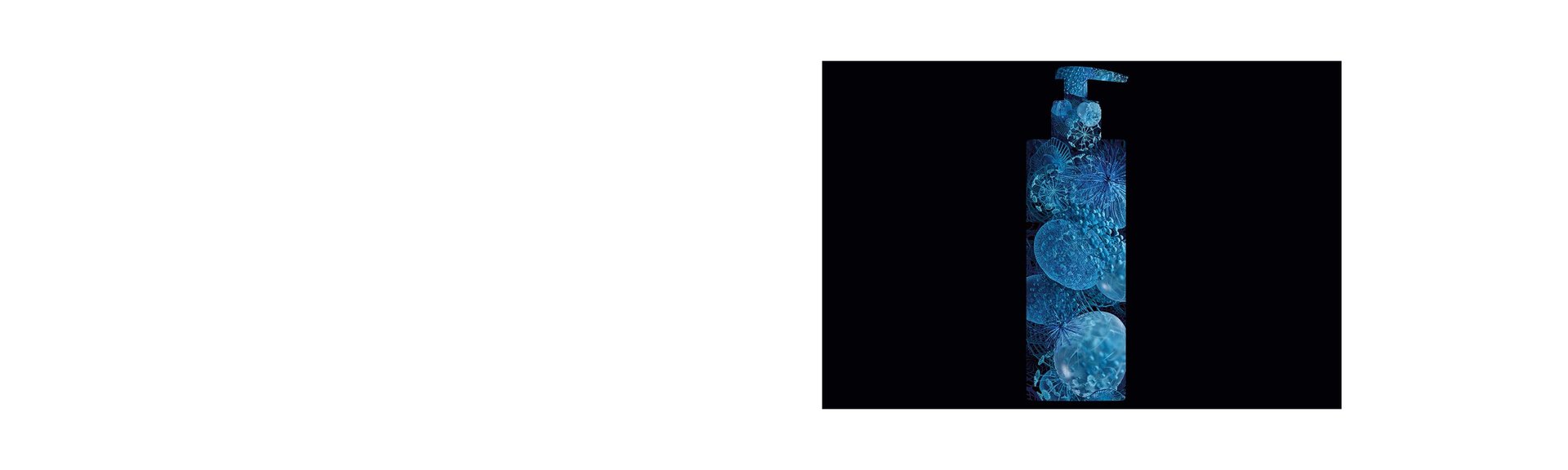 COMMITMENT_LIPIKAR BANNER